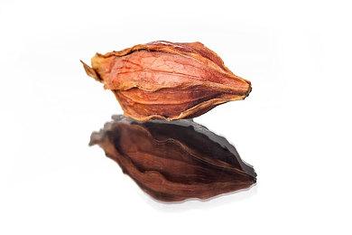 系列新作《我们永远在这》官方预告 2022年Q2发售